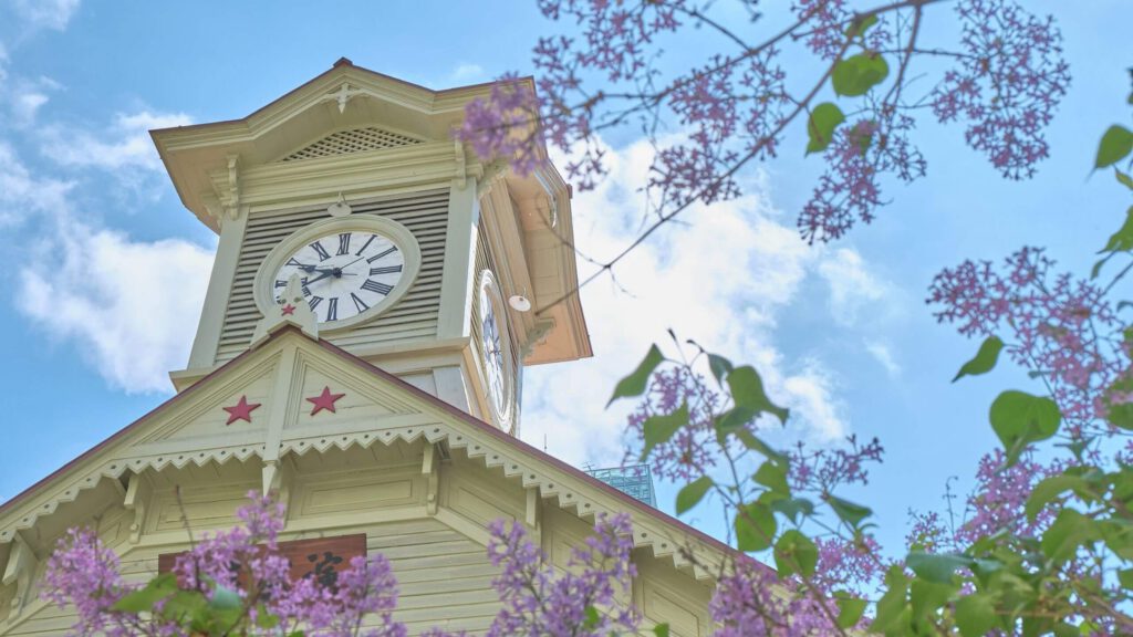 ライラックの花と札幌市時計台